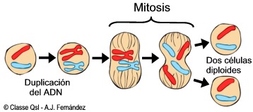 biologia