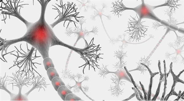 redNeuronal